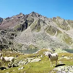 Apartman Beim Holzschnitzer-1 By Interhome