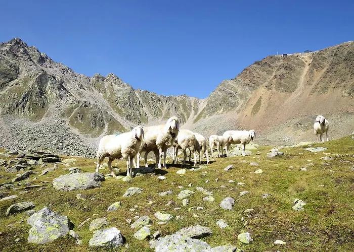 Appartamento Beim Holzschnitzer-1 By Interhome *