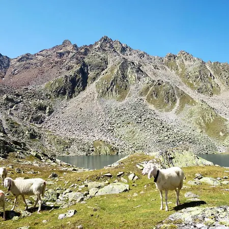 Apartman Beim Holzschnitzer-1 By Interhome